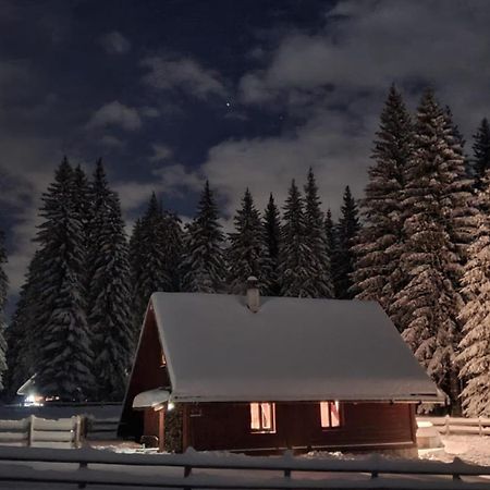 Cosy Chalet On Pokljuka - Brunarica Tinkara Zgornje Gorje Exterior photo