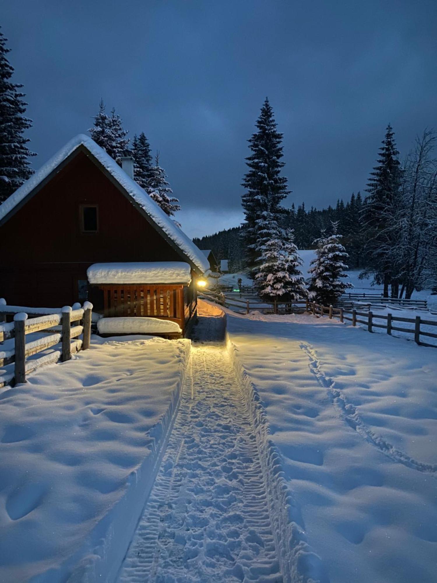 Cosy Chalet On Pokljuka - Brunarica Tinkara Zgornje Gorje Exterior photo